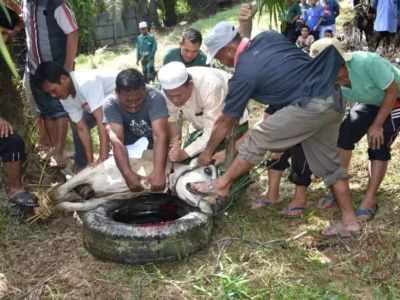 kegiatan-ponpes-modern-al-hariri-10-680f3429b78f2 kegiatan-ponpes-modern-al-hariri-10-680f3429b78f2